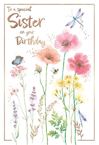 Picture of TO A SPECIAL SISTER ON YOUR BIRTHDAY CARD